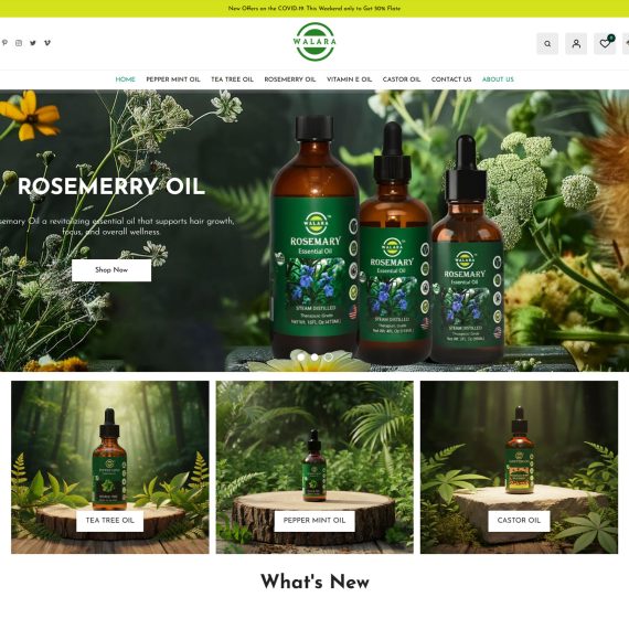 Professional Shopify Store Development