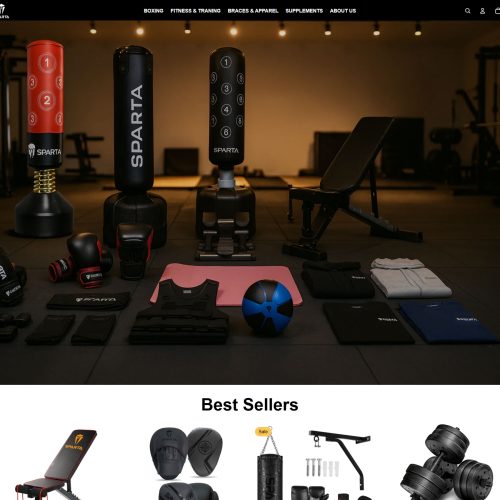 Custom Shopify E-Commerce Website